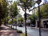 Viale Baccelli